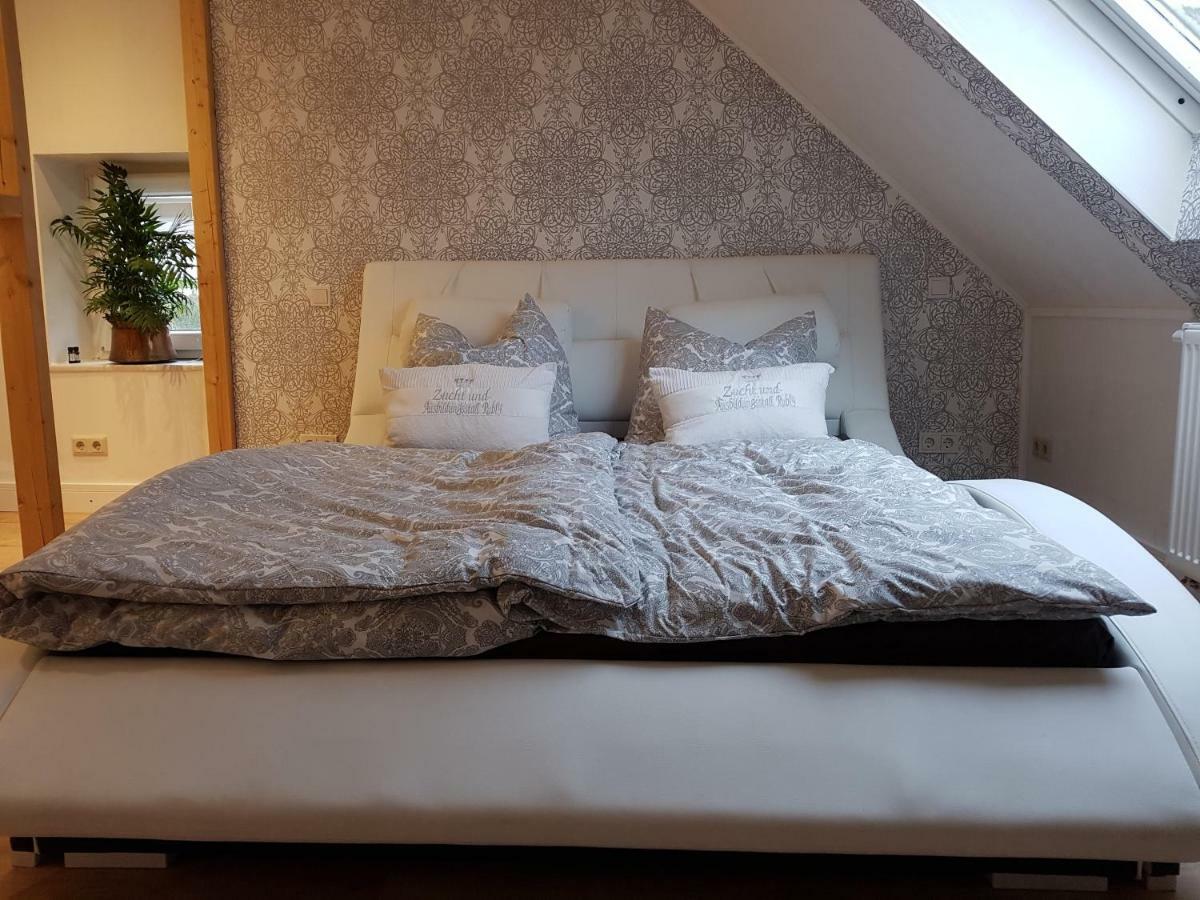 Zucht- Und Ausbildungsstall Rubly Kleinbundenbach Esterno foto