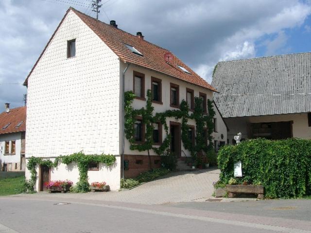 Zucht- Und Ausbildungsstall Rubly Kleinbundenbach Esterno foto